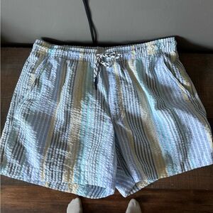 American Eagle Outfitters Blue and Yellow Swim Trunks with Elastic Waistband
